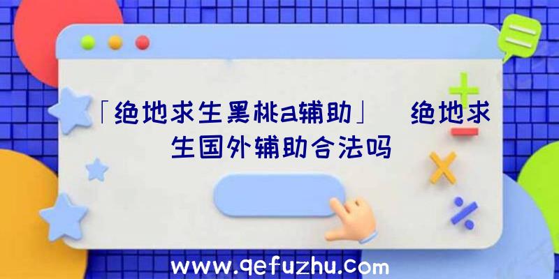 「绝地求生黑桃a辅助」|绝地求生国外辅助合法吗